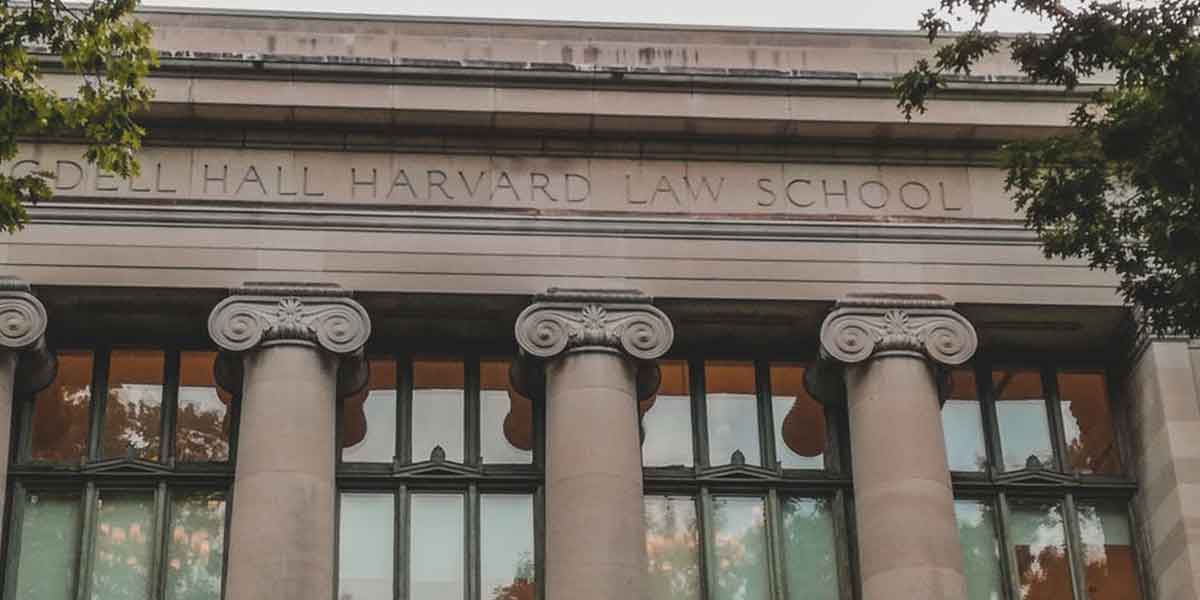 You are currently viewing What are the main duties of a probate lawyer?